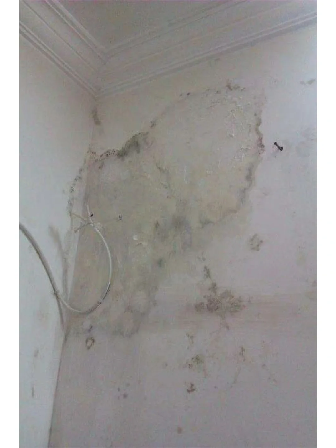 墙面砖裂开是什么原因(墙面砖开裂原因及处理办法) 墙面砖裂开是什么原因(墙面砖开裂原因及处理办法)